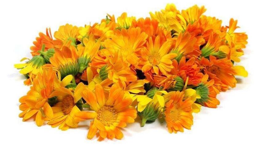 Calendula extract Promicil-en
