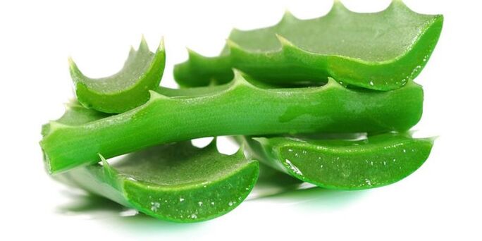 Aloe iltze onddoaren tratamendua